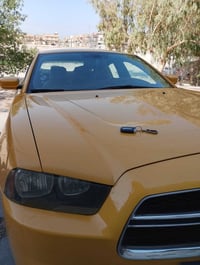 جارجر • ٢٠١١ • نقد فقط