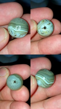 الجزع اليماني • اصيل • نوادر