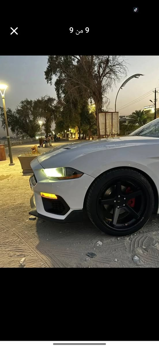 تحيه طيبه السلام عليكم ورحمة الله وبركاته
Mustang🐎
Eco Boost
موديل2019
مكينه4 سلندر 2.3 تيربو  
بقوه315 حصان
ماشيه83 الف
حادثها حافه بنيد معدل ومصبوغ 
بدون ايرباك بدون شواصي بدون لغد
بصمه تشغيل
شاشه وكامره خلفيه
تحكم ستيرن فول
شفتات بالستيرن
كروز سرعه
تخم تاير جديد 
عليها ويل فيرادا الاصلي
السياره عليها برمجة كامله ومناقصها شي 
واكفل كير ومكينه وافحص بالمكان الي يعجبك
رقم اربيل جديد بأسمي تحويل ثاني يوم
السعر 172 ورقه وبيها مجال 
اي اسفستار
***********
مكان بغداد كرخ كاظميه.
غير متواجد على الفيس
