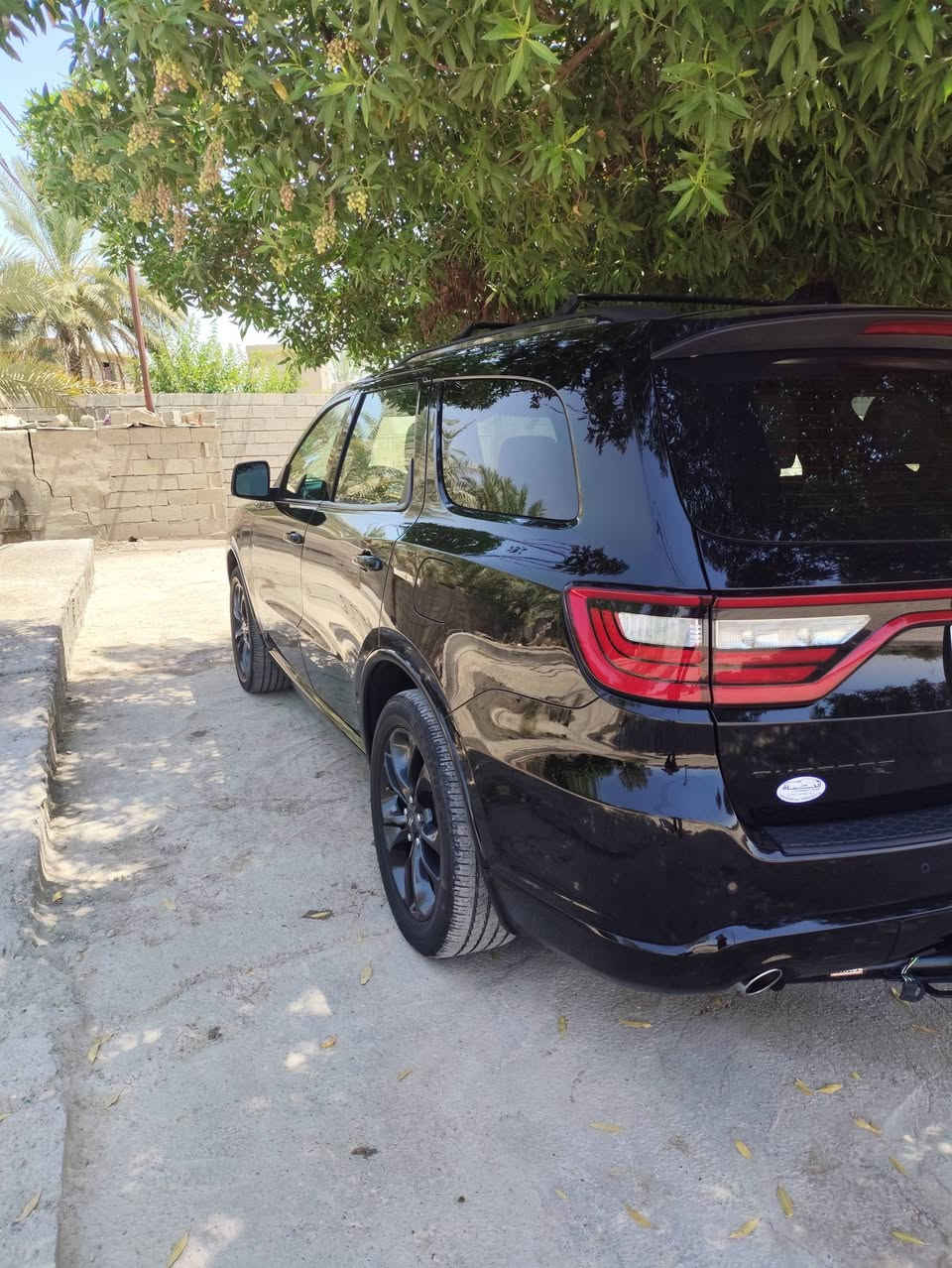 السلام عليكم
دوج دورنكو للبيع GT
موديل 2024
حجم المحرك 3600
عداد المسافة 41 الف مايل 
ضرر قطعة وحدة بنيد
طاك ارباك دشبول وتكمة 
راجع سستم درجة اولى
محرك كير كفالة بشرط 
صور الحادث موجودة
رقم بغداد شهداء 
تشغيل بصمة 
تشغيل عن بعد
بصمة ابواب 
دخول ذكي جنطة كهرباء
حساسات جانبي وخلفي
7 راكب تبريد 3قطع
نضام ايكو +سبوت
بعد بيها هواي مواصفات
العنوان ديالى المقدادية  
السعر  258 بيها مجال شي بسيط
رقم الهاتف ***********
