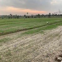 طابو زراعي • ٦ دونم وربع • طريق النيل القديم