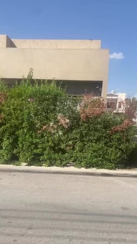 اربيل فرمانبران • ١٥٠م • طابق ونص