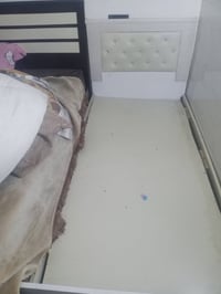 جربايه • نفر واحد • مجمع الزيتون