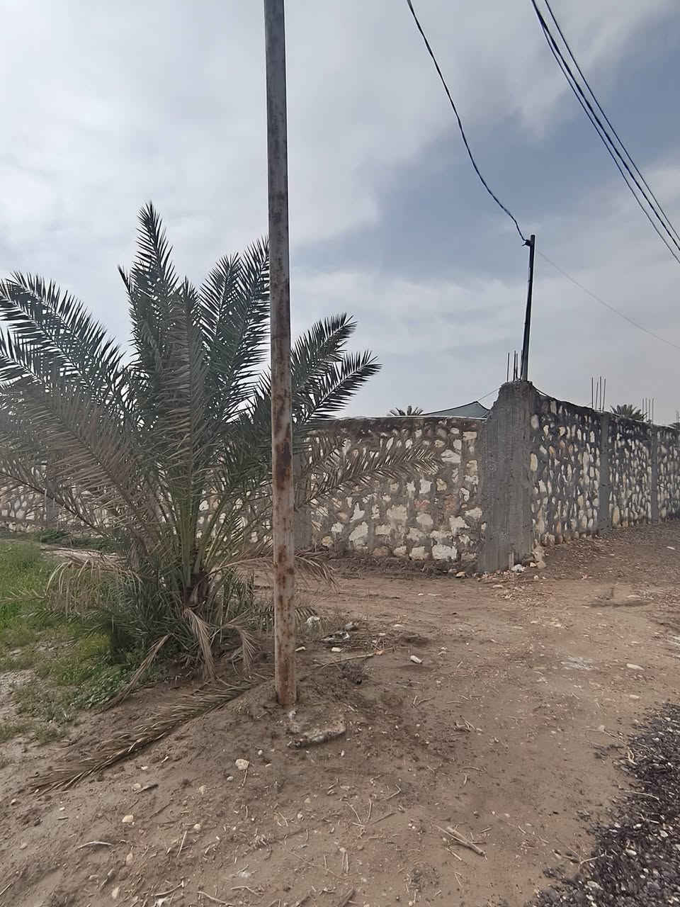 يا الله سلام عليكم
#ارض زراعيه للبيع 
المساحه ٣الاف متر  كما موضح ب الصور 
#سند ٢٥ تحويل مباشر ب اسمك
الارض دولار يعني تبقيه شهر تصعد فوك سعره 
#متوفر جميع الخدمات ماء  كهرباء مولدة شارع 
الموقع/شارع ١٠٠الرابط بزل حجي علي تبعد عن شارع ١٠٠ 
العام ١٠٠ متر 
للاستفسار اكثر اتصل على الرقم وبخدمتك‪‏‪0787 689 2247‬‏
