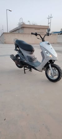 منغولي رمبه • مكفوله • كفرات موجودة