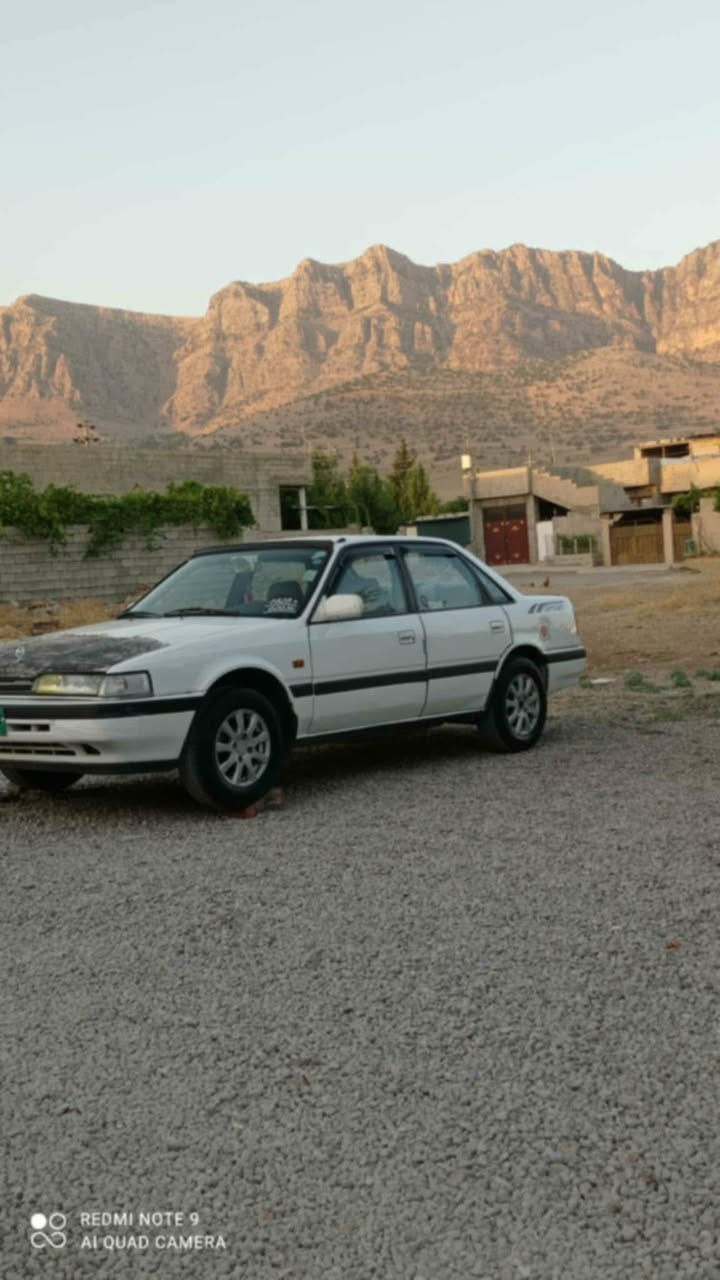 مازده ئارم هه وليره ٨به خ زؤرجوانه سعري 30گه لامعامه له ***********
