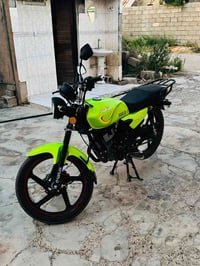 شاينك • ٥ كير • ٢٠٢٣