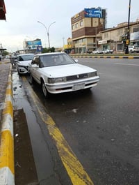 شيزر • مكفوله • نجف حي الكرامه