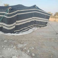 بيت شعر اصلي • ٥م×٤م • السماوه الخضر