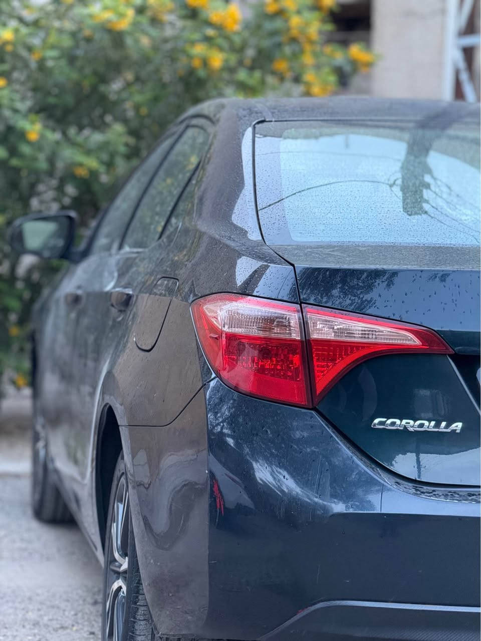 17le

المواصفات 
ماشيه 69 

تحكم إسترين 

كامير 

داخل لونين 

رادار 

مثبت سرعه

كروز سرعه 

حداديه 

باتري 

تبريد بلادي 

حادثها جاملغ خلفي بدون دواخل بيه قطع كلير بامريكي بدون دواخل بجم كبس 

رقم بغداد أنكليزي باسمي 

السعر 123 

*********** بغداد, العراق
