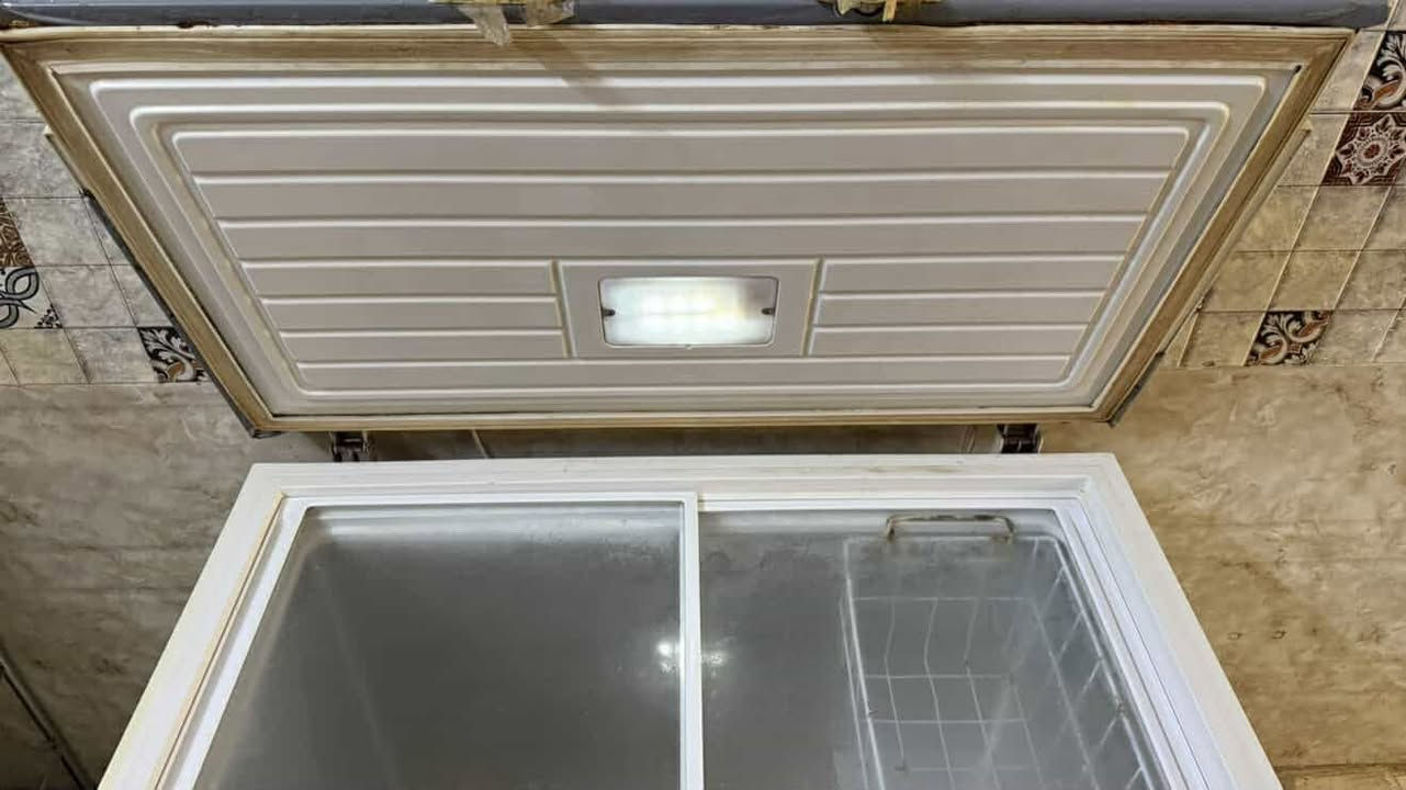 مجمده الحافظ شغاله وتجمد للبيع100وبيها مجال للشراي


**إذا كنت صاحب هذا الإعلان وتريد حذفه لأي سبب، رجاءا أرسل رسالة إلى الدعم الفني**