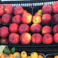 خضار وفواكه • توصيل • نهاية شارع المعهد