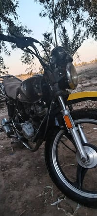 فيوم اربعه • بدون اوراق • كير