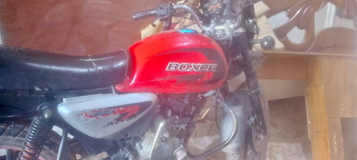 سلام عليكم اخواني هاي البوكسر للبيع موديل 2023 نقوصات دواسات رجلين فقط الدراجة بدون اوراق اكفلك عشائر وسرقة ودولة وتروح ادك ارقم الشاصي السعر 775قفل قفل للتواصل ‏‪***********‬‏
