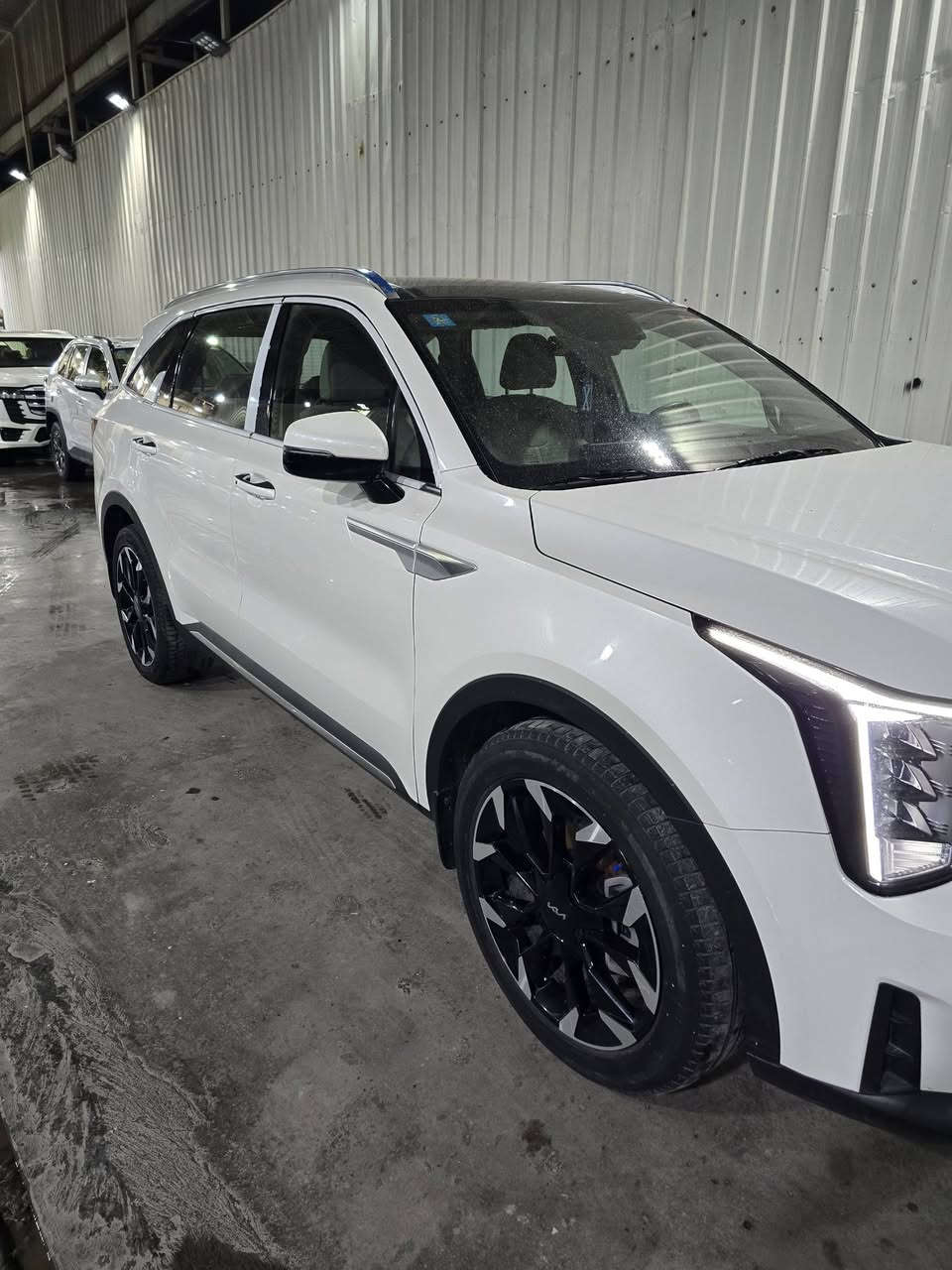 السلام عليكم للبيع سورنتو 2024 جديده مكفوله مواصفاتها بانوراما بصمه كير موس سته سلندر سبعه راكب صندوك كهرباء 3 قطع تبريد كراسي كهرباء دشبول الوان السياره جديده ومكفوله من الفتح والصبغ والبارد والتبدل ماشيه 40 الف حقيقي السياره باسمي تحويل ثاني يوم رايدها ب315 وبيها مجال للشراي للاستفسار الاتصال ***********
