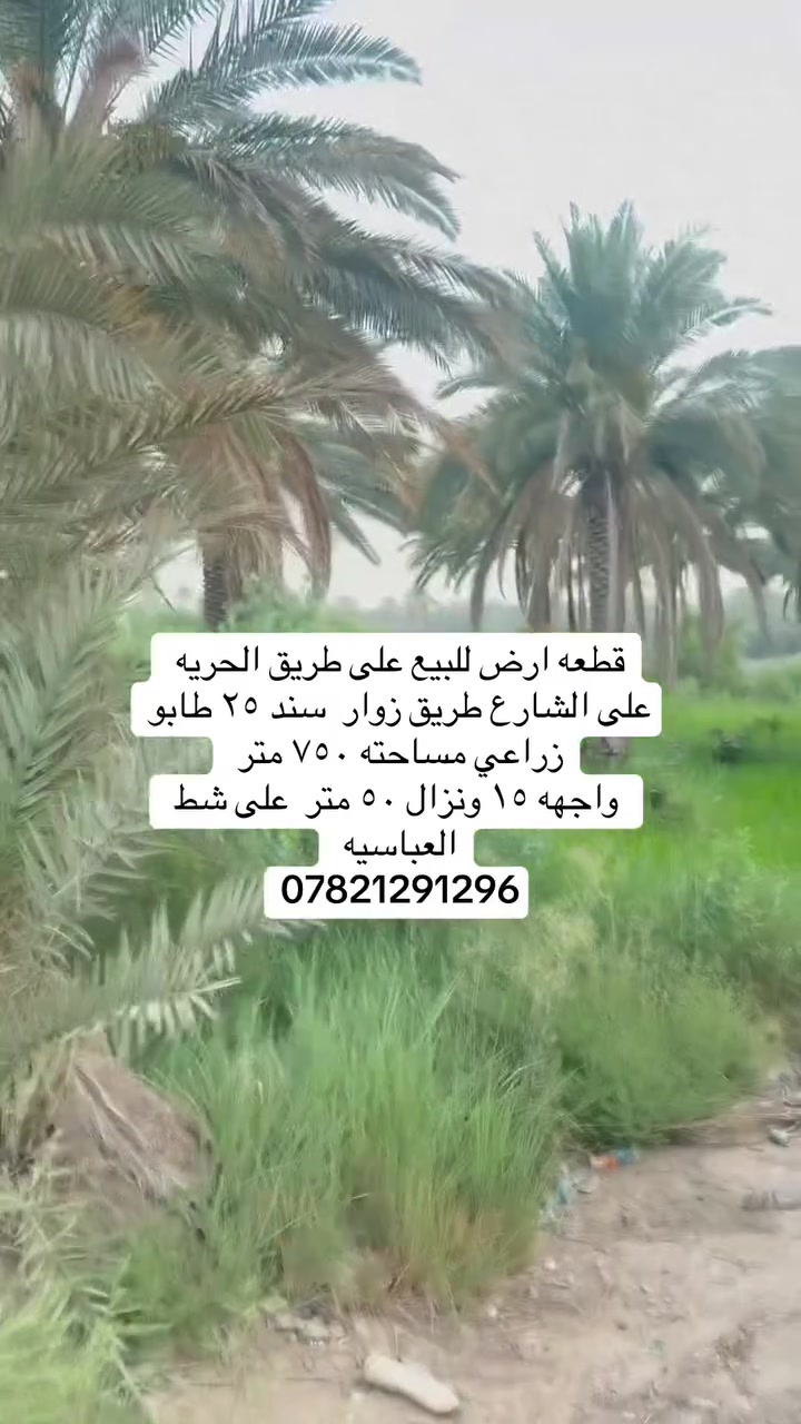 لا تعلق اتصل


**إذا كنت صاحب هذا الإعلان وتريد حذفه لأي سبب، رجاءا أرسل رسالة إلى الدعم الفني**
