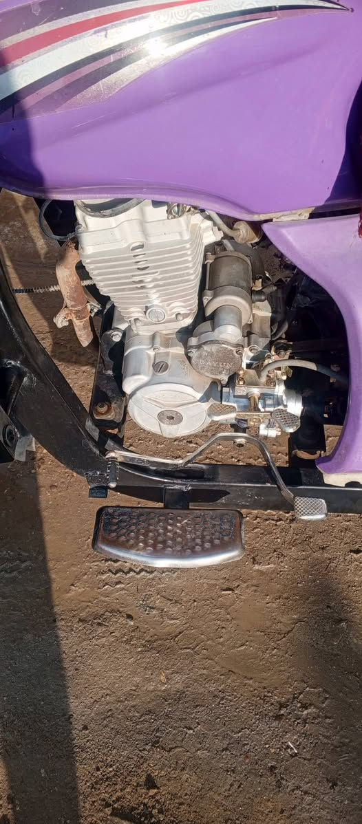 سلام عليكم ستوتة دايوان فحل مديل 20 ستوتة نضيفة جاهزة للشاع مگمركة كبل ترقيم لا مفتوحة ولا مجفت بلادي اوراق اصولي مكاني بغداد ***********
