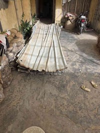 جينكو • ٢٨قطعة • ٤م