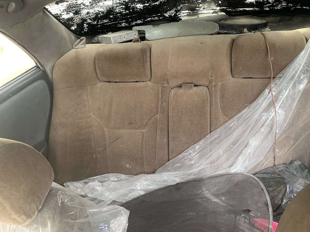 للبيع او مراوس كشنات راس ثور 
سعرهن 100 وبيهن مجال


**إذا كنت صاحب هذا الإعلان وتريد حذفه لأي سبب، رجاءا أرسل رسالة إلى الدعم الفني**