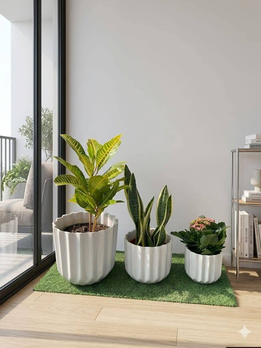 🎉 عرض العيد من بابونج 🌼
3 نباتات ظلّية 🌿
3 سنادين أنيقة
🚚 توصيل مجاني 
فقط بـ 25,000 دينار
يوجد. لدينا خدمة توصيل لكافة احياء مدينة الموصل


**إذا كنت صاحب هذا الإعلان وتريد حذفه لأي سبب، رجاءا أرسل رسالة إلى الدعم الفني**