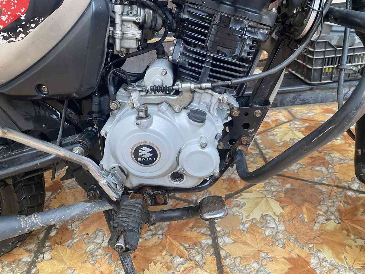 للبيع بوكسر موديل 22 دراجه مجفته تجفيت شركه سعر عل خاص


**إذا كنت صاحب هذا الإعلان وتريد حذفه لأي سبب، رجاءا أرسل رسالة إلى الدعم الفني**