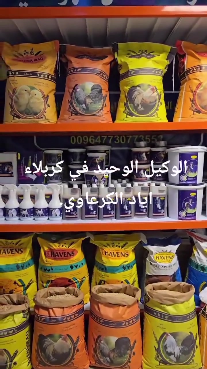 اعلاف هافنس العراق الأولى عل عراق بلا منافس 
ونسبه الاقبال عليها ميه بل ميه لانها عائدا. الأستاذ الكبير والمربي الكبير أبو موسى الطاىئي عن شركه هافنس الهولنديه لضمان حلالك يكون هافنس العراق في خدمتك أيها الاخ المربي  الوكيل الوحيد في كربلاء اياد الكرعاوي ويجود توصيل داخل كربلاء ***********

