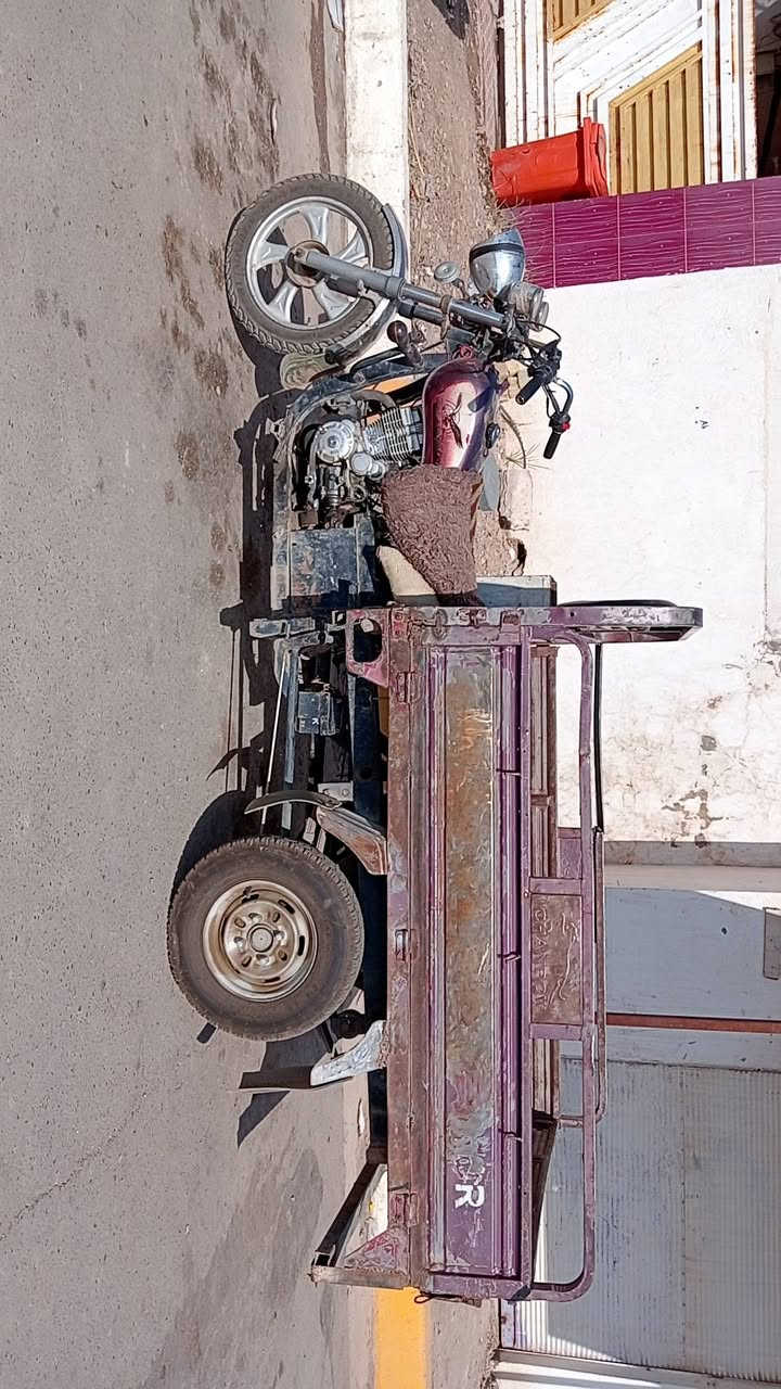 يا الله للبيع ستوتة أم الطير مال بيت وكلشي ما بيها ونضيفة وأوراقها كاملة وشغل واطلع كبل  والسعر ب 750 وبيها مجال للشراي  والمكان ديالى كنعان والي يريد يشتري يتواصل وياي على الخاص أو يتصل على الرقم ***********
