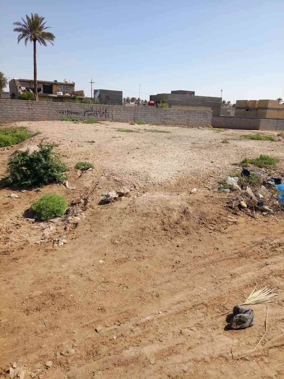 ياالله التفاصيل داخل الفديو الشراي بي خير ويدلل الاتصال
***********
***********
