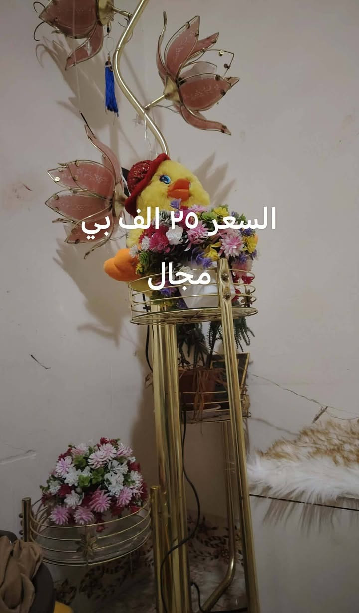 للبيع سعر مذكور بل صور


**إذا كنت صاحب هذا الإعلان وتريد حذفه لأي سبب، رجاءا أرسل رسالة إلى الدعم الفني**