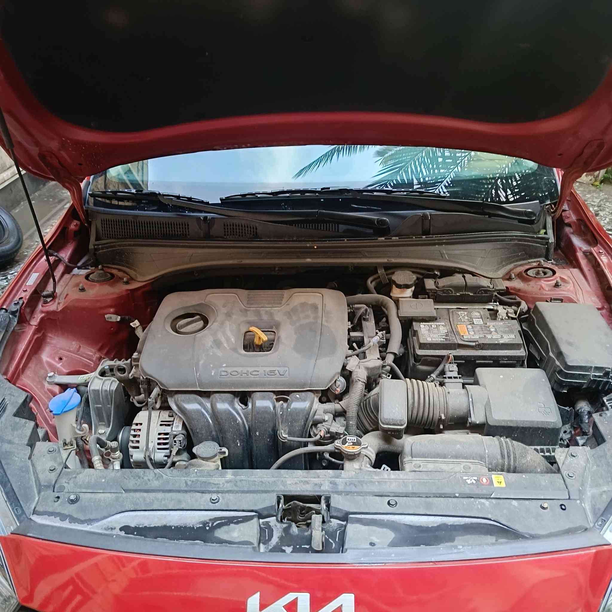 السلام عليكم ( للبيع فقط ***********)
كيا فورتي موديل 2024 وارد امريكي
محرك 2000 دوش 
السياره زيرو ماشيه 6الف 
فئة LXS لون  احمر ميتاليك
دخول وترقيم جديد 
رقم بغداد 
سويج - شاشه ايباد _ كامره دواره- ويل كب - رادار امامي وجانبي وخلفي - اشاير بالمرايه الجانبيه - لايتات ليد 3 عدسات اصلي شركه -جميع ايرباكاتها سليمه- تحديد مسار - قياده اليه -4 انظمة قياده
حادث السيارة باب وجاملغ مبدل والبنيد شبر بدون شاصي كفاله بوضع الزيرو 
كلها ليبل واحد ماعدا الباب والجاملغ  
راديترات وتبريد بلادي 
السياره جديده كلش  تريدها قسط تريدها نقد  
مكاني بغداد حي القاهرة
