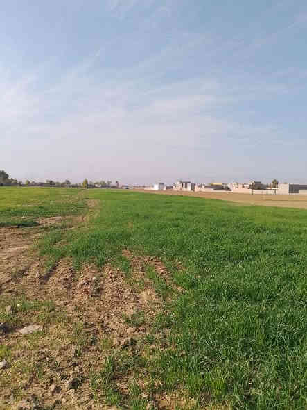 قطعه ارض للبيع زراعي مساحه ٢ دونم داخل كركوك ليلان يم بيوت سكنيه واصله ماء اساله وكهرباء سعره ٢٥ مليون للمزيد من المعلومات اتصال على رقم مبايل ***********
