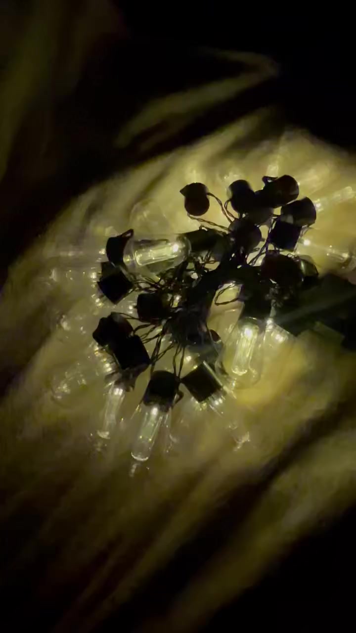 للبيع حصان سياره اصلي ونشره اصليه


**إذا كنت صاحب هذا الإعلان وتريد حذفه لأي سبب، رجاءا أرسل رسالة إلى الدعم الفني**