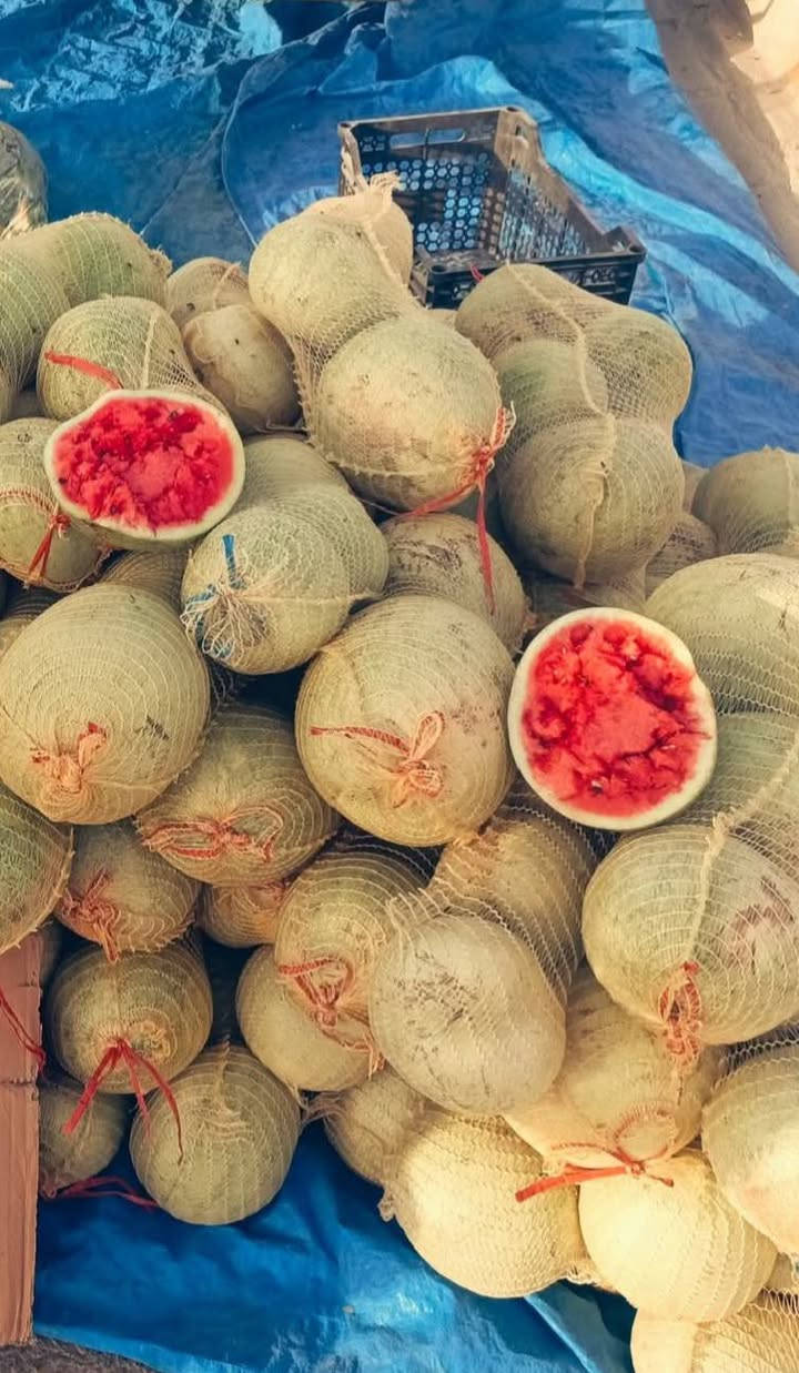 السلام عليكم
بطيخ درجة اولى شرط عسل 
سعر الكيلو ٣٥٠ دينار فقط 
ركي ٢ كيس ٥٠٠٠ الاف دينار فقط 
بامية مال تجفيف سعر الكيلو ١٠٠٠ دينار فقط 
العنوان مدخل الزاب بدايه السايدين سيطرة الحشد سابقا


**إذا كنت صاحب هذا الإعلان وتريد حذفه لأي سبب، رجاءا أرسل رسالة إلى الدعم الفني**