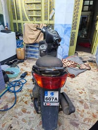 سكنس فحل • مامفتوحه • سلف