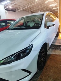 بايد سيل 05 • ٢٠٢٥ • نص فول