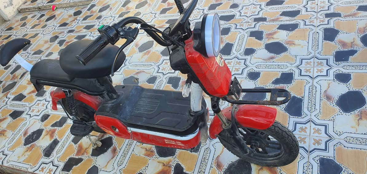 حجم ١٤ 
السعر ١٠٠ الف كركوك, العراق


**إذا كنت صاحب هذا الإعلان وتريد حذفه لأي سبب، رجاءا أرسل رسالة إلى الدعم الفني**