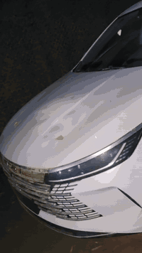 #شركة #لتجارة #السيارات #الحديثة #الاصدقاء   بي وأي دي  ديست روي BYD D...