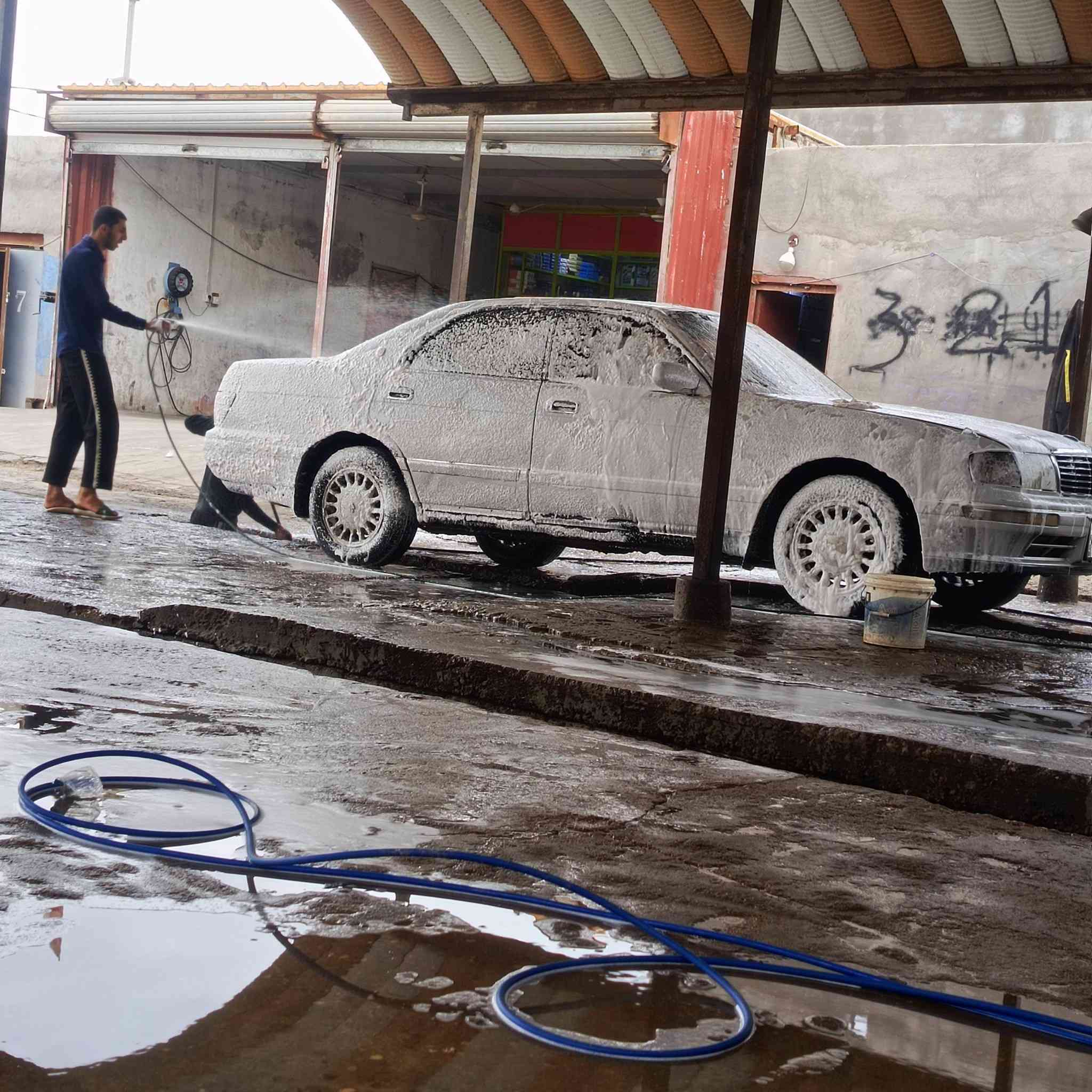 للبيع 55
العنوان البصرة قضاء الدير الرقم***********
