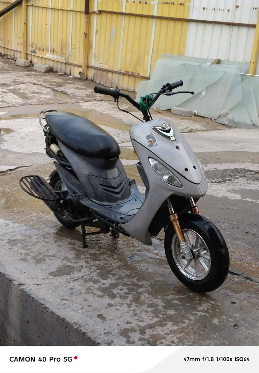 سلام عليكم
ماكس منغولي مراوس فقط غراضه كامله بيه نقوصات بصيطه مكاني نجف كوفه شارع المطار جديد رقمي ***********
