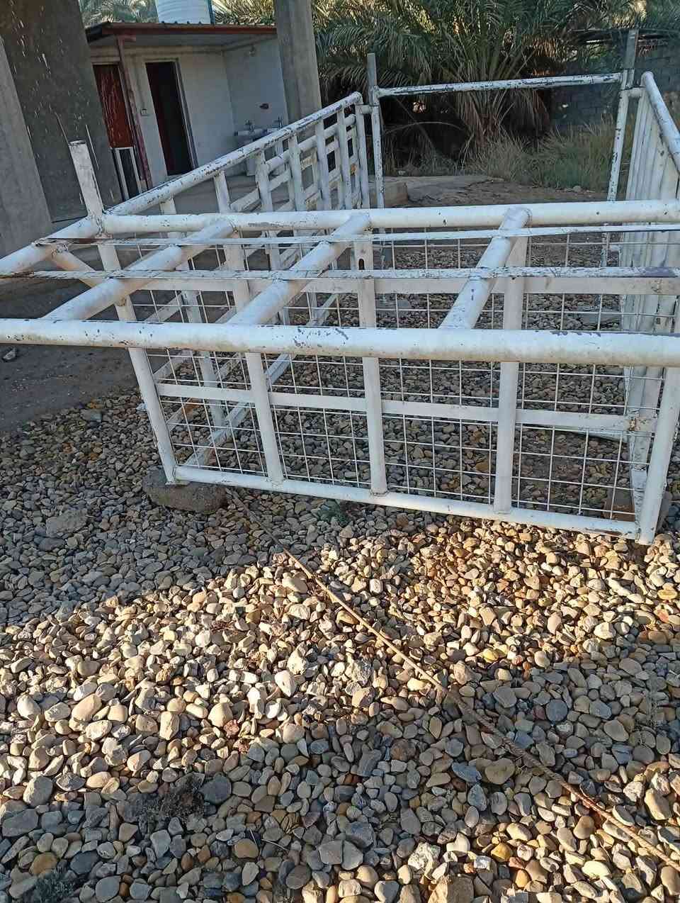 محجر بوري تركي حجم 2مل قياس 2انج البيع محجر كيا حمل نثيه نصافه فول ستفسار عل رقم  *********** بابل القاسم
