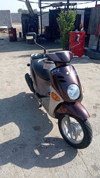 فلة رمبه رمبه السعر 850 عنوان بغداد الحسينيه راشديه 07731224749