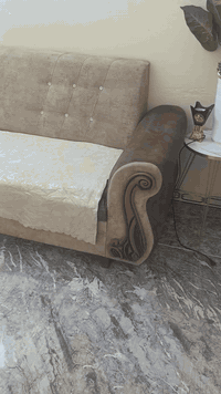 تخم للبيع سعره 175 الف ديوان وهذا رقمي 07776452192