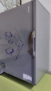 مجمدة • ١٠قدم • للبيع