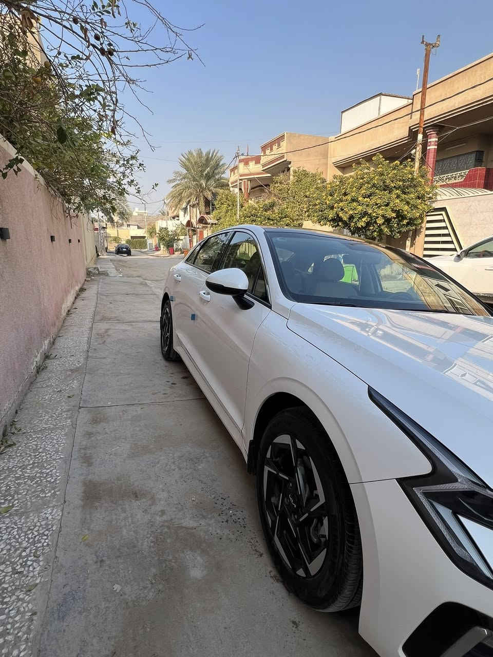 كيا K5 2024 خليجي
كفالة عامة  
ماشة 35 الف فقط 
موصفات فول 
بصمة 
رادار 
تحكمات
مري شفط 
اشاير مري 
سقف بنوراما 
تبريد قطعتين 
شاشة كبيرة 
انضمة قيادة 
هاند بريك بصمة 
محرك 2500
تحكم كشن كهرباء 
و بعد بيهة موصفات 
ملاحضة بيهة شخط بالدوسة صغير سيارة نضيفة بعنى الكلمة مال بيت 
السعر 240 و بيهة مجال قليل 
العنوان حلة 
رقم ***********
