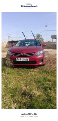 گورلا 11 للبيع 07829117052