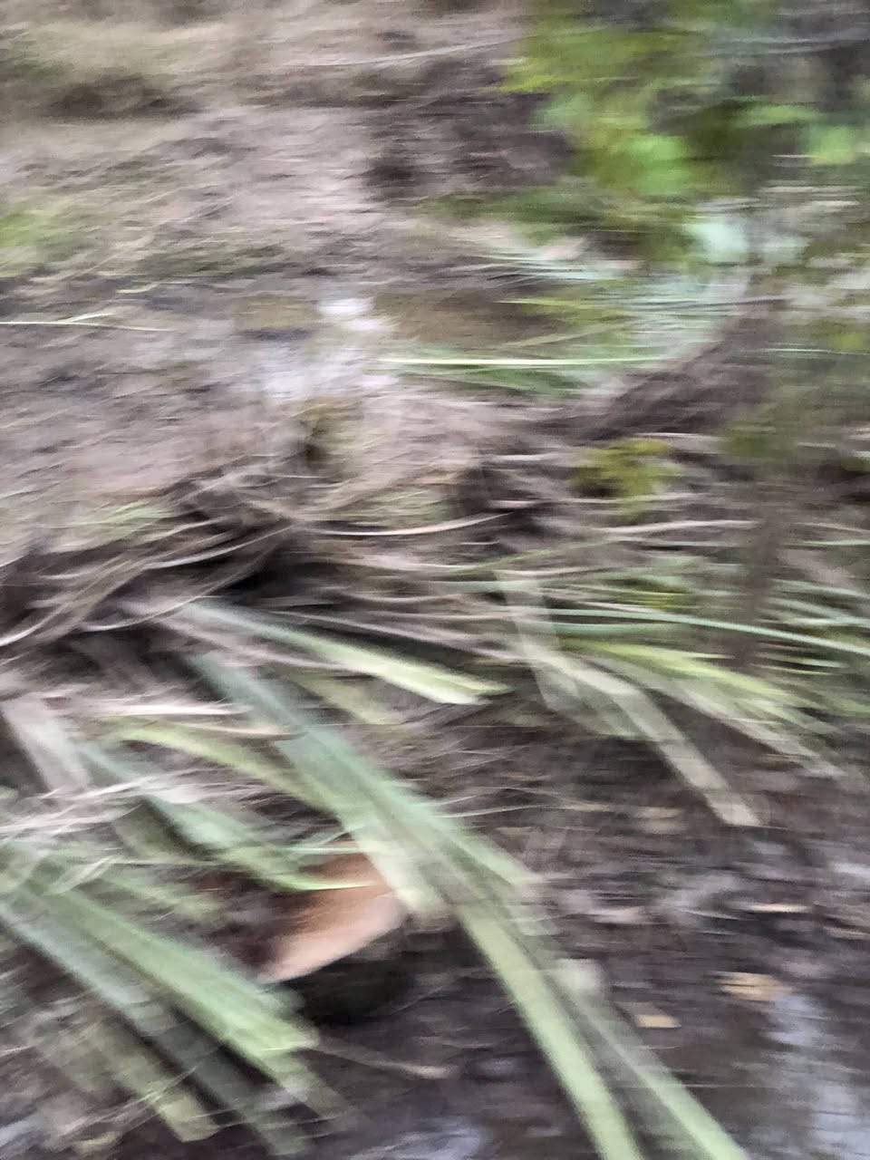 سلام عليكم فسائل زهدي للبيع درجه اولى احجام وسط ودبة غاز مشلوع وكامل شكد متريد اجهزلك سعر الوحده4الاف 
رقمي ***********
