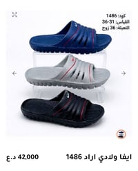 ايفا • رجالي شبابي • ولادي طفل