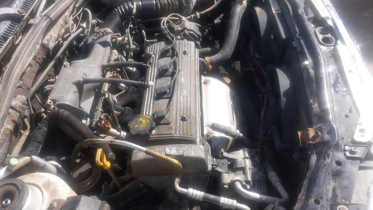 التفاصيل داخل الصور
