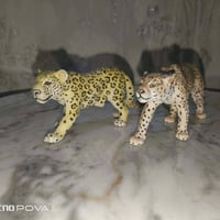 شلايش • ٢٥ قطعة