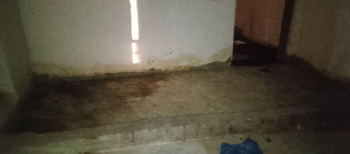 السلام عليكم ورحمه الله وبركاته اخواني الكرام مجمع للأيجار المكان الخالديه حي الشهداء قرب جامع ذ النورين 
بي مكان للدجاج وبي حوض سمك 
گان سابقآ محل دجاج وسمك ومخضر 
وقبلها كان مجمع غذائيه 
يعني مختصر الحچي گلشي يرهم محل بي مخزن چبير وبي الباب الأحمر محل دجاج وبي باب علا المحل الچبير يعني ثلاث قواطع سوه. للأيجارر. للأستفسار ***********
